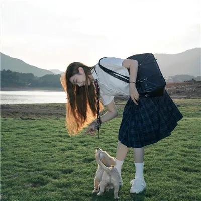 银之守墓人日语版