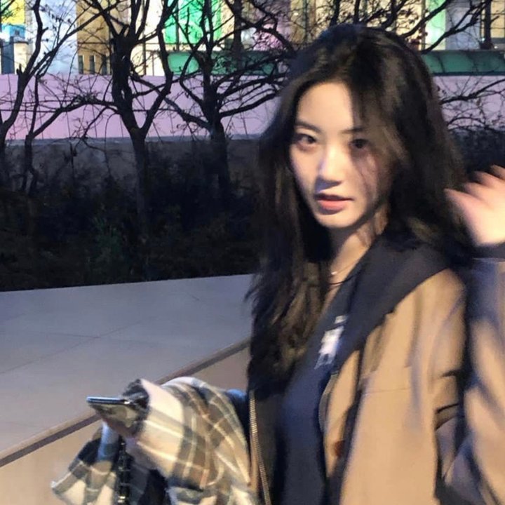 聪明的鸭子